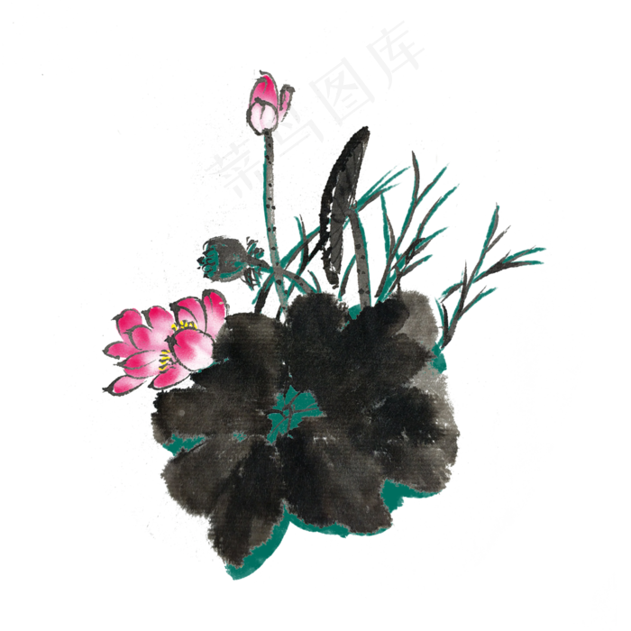 出水芙蓉水墨手绘插画