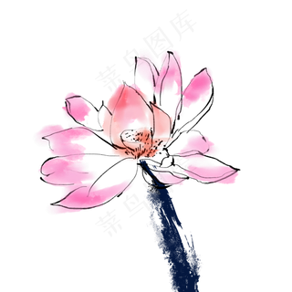 粉色中国风水墨荷花工笔