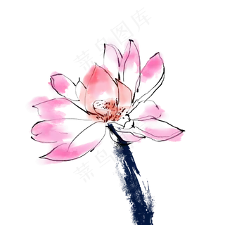 粉色中国风水墨荷花工笔