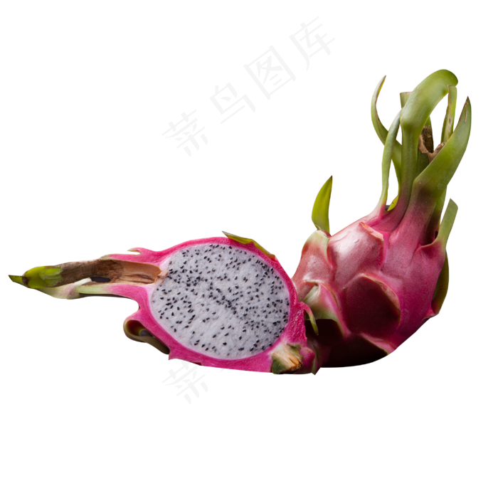 实拍果树丰收火龙果