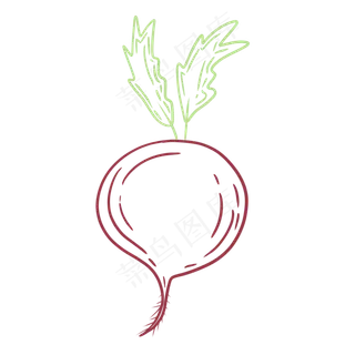 线条场景夏天水果蔬菜红萝卜