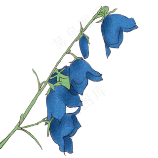 花处暑商用元素