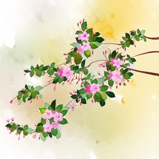红花海棠风景苹果花海棠花春天插,免抠元素