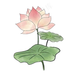 夏日清新中国风荷花元素PNG