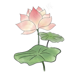 夏日清新中国风荷花元素PNG