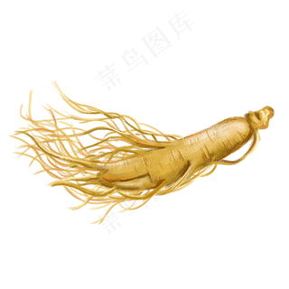 卡通手绘人参药材,免抠元素