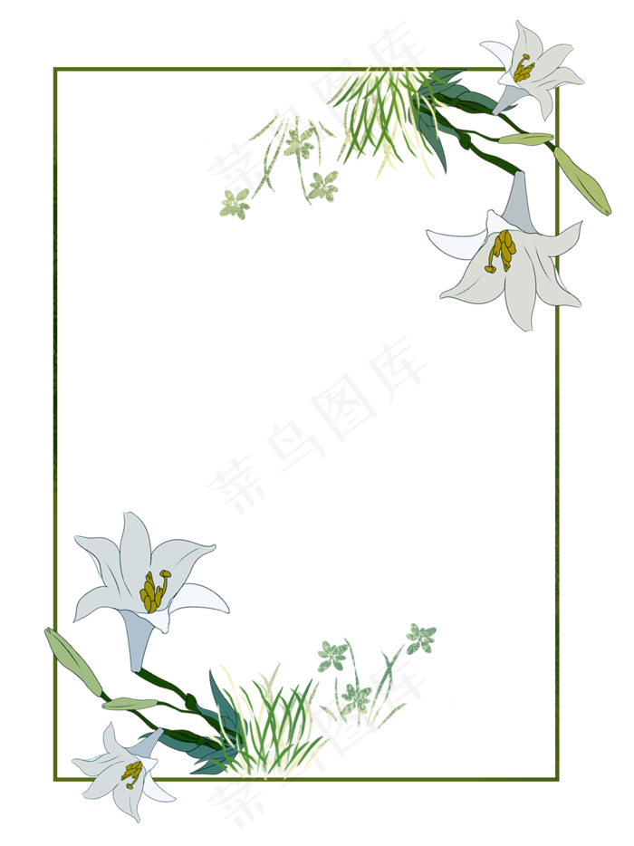 春天花卉白色牵牛花边框