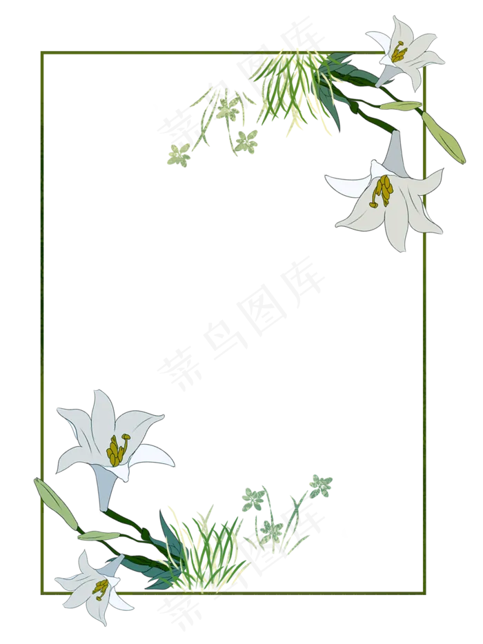 春天花卉白色牵牛花边框