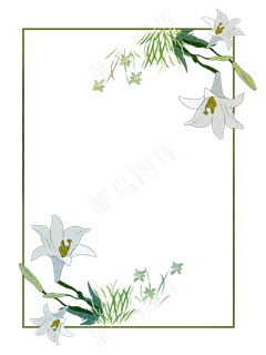 春天花卉白色牵牛花边框