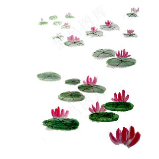 国画莲花桃色粉色盛开水墨PNG