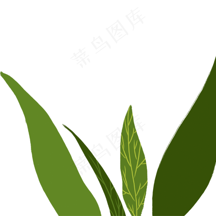 卡通春天绿叶下载