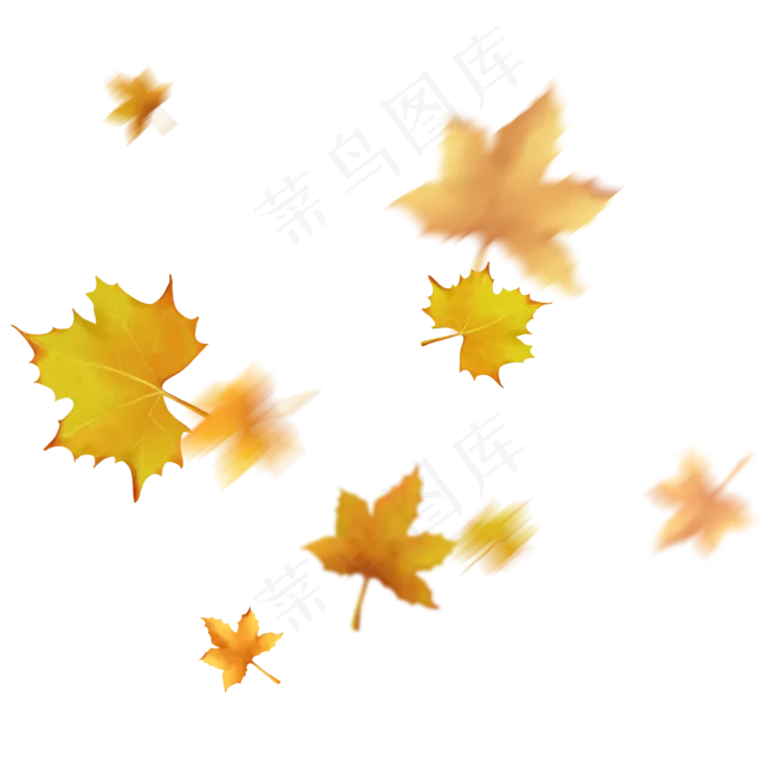 漂浮的叶子秋风吹落的梧桐叶飘落(1024*1369px)psd模版下载