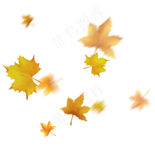 漂浮的叶子秋风吹落的梧桐叶飘落