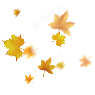 漂浮的叶子秋风吹落的梧桐叶飘落