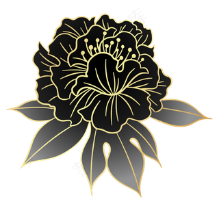 黑金国潮花卉牡丹