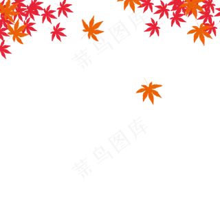 枫叶,免抠元素