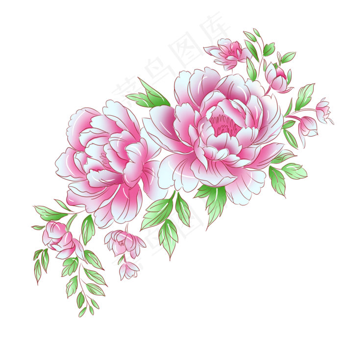 植物粉红色牡丹花(2000X2000(DPI:300))psd模版下载