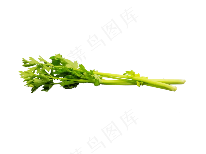 蔬菜芹菜,免抠元素(4000*3000px 300 dpi )