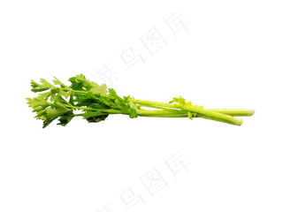 蔬菜芹菜,免抠元素