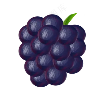 紫色桑葚鲜果甜美