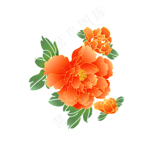 风牡丹花牡丹花元素