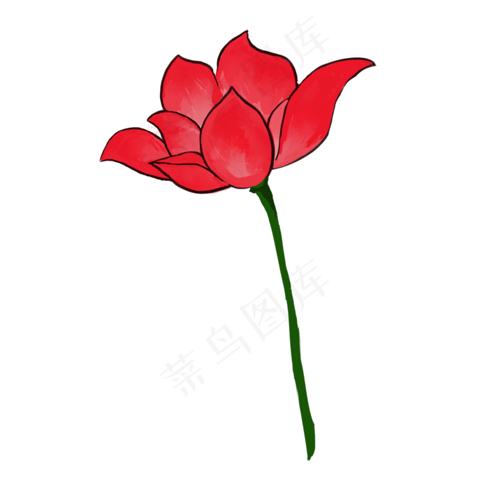 中国风红色荷花插图(2000X2000(DPI:300))psd模版下载