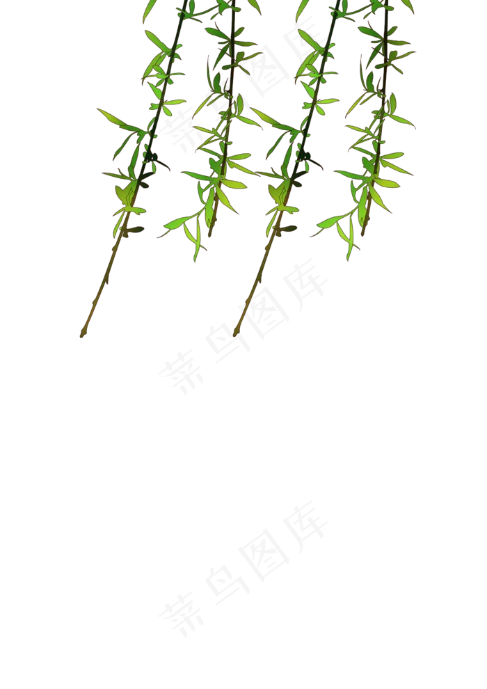 春分柳条免扣元素,免抠元素(2480X3508(DPI:300))psd模版下载