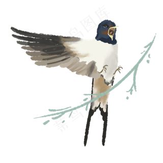 正要停下来的一只燕子