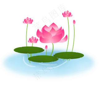 荷花荷叶清新风格