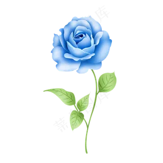 大气矢量手绘蓝色玫瑰花一支可商