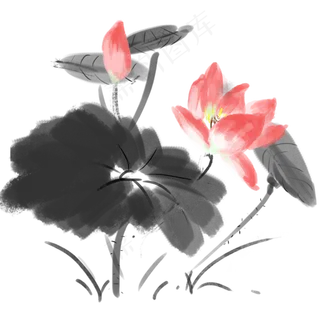 中国风水墨荷花