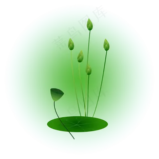 夏日荷花清新精美