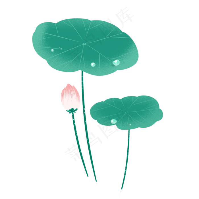 荷花荷叶莲花露水(2000X2000(DPI:299))psd模版下载