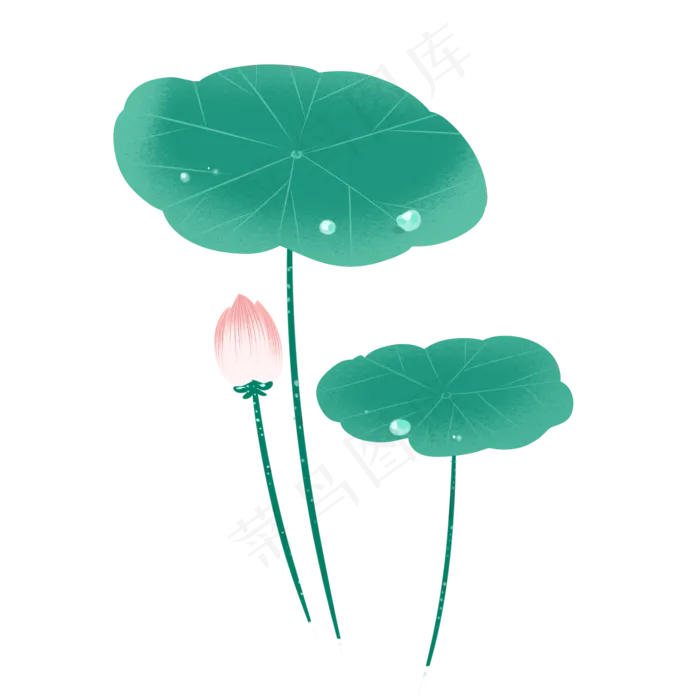 荷花荷叶莲花露水(2000X2000(DPI:299))psd模版下载