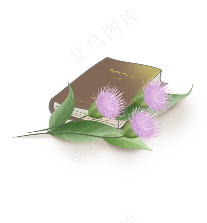 春天植物和书本(2000X2158(DPI:299))psd模版下载