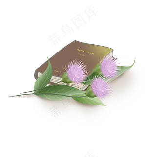 春天植物和书本