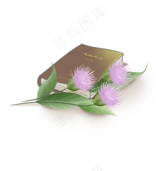 春天植物和书本