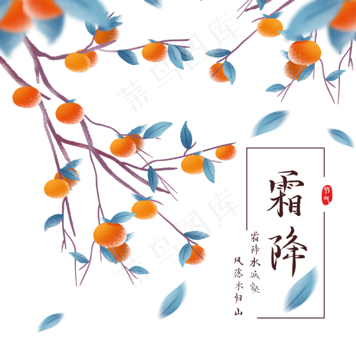 二十四节气霜降柿子树,免抠元素