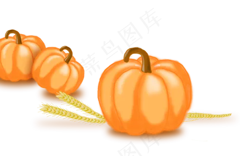 成熟的金黄色南瓜