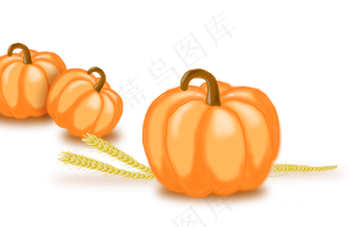 成熟的金黄色南瓜