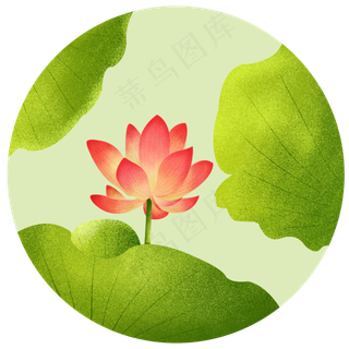 手绘中国风荷花荷叶装饰元素