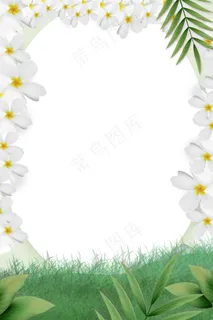 简单花朵绿草环绕边框 简单花朵绿草环绕边框