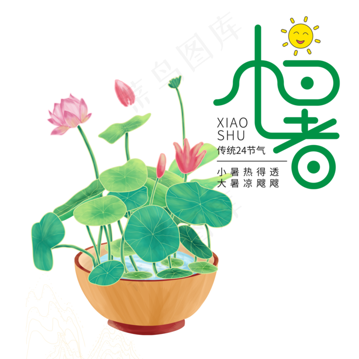 二十四节气小暑荷花