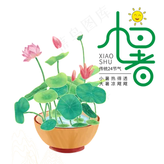 二十四节气小暑荷花