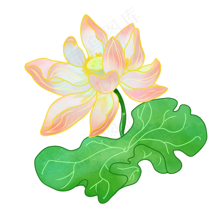 夏季荷花(3000X3000(DPI:299))psd模版下载