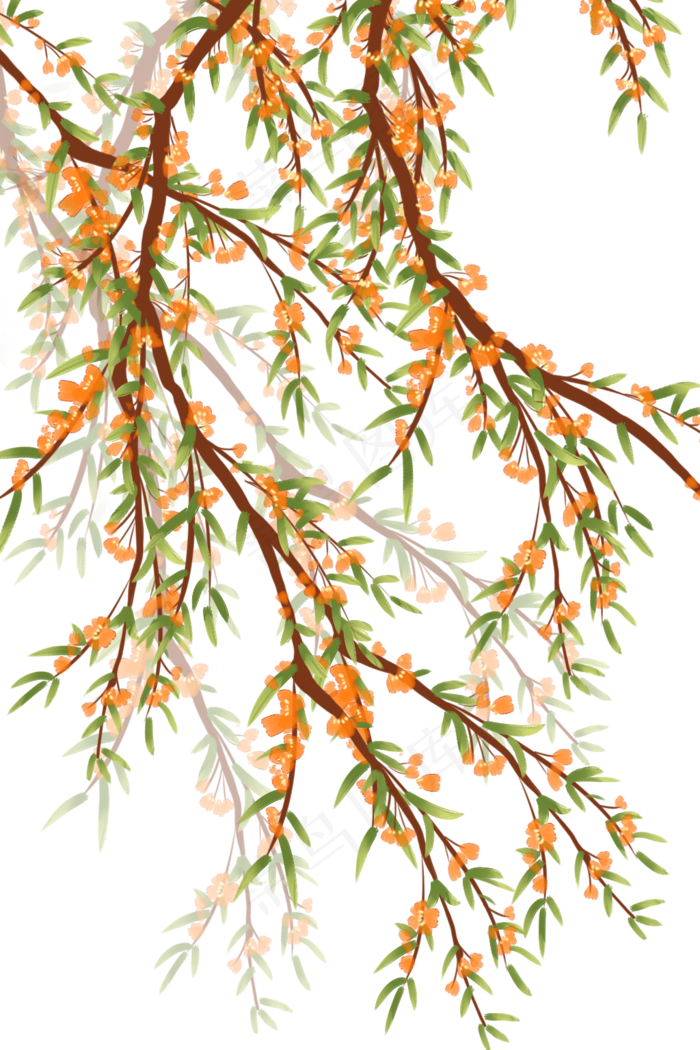 古风植物花枝柳树花(1024X1536(DPI:299))psd模版下载