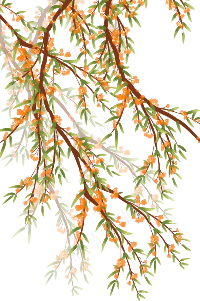 古风植物花枝柳树花(1024X1536(DPI:299))psd模版下载