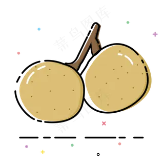 龙眼桂圆果实水果