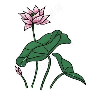 手绘中国风荷花PNG素材