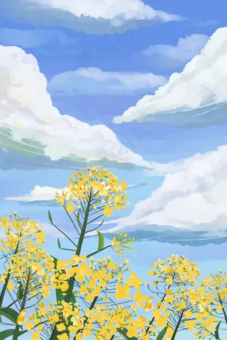 通用油菜花治愈美景